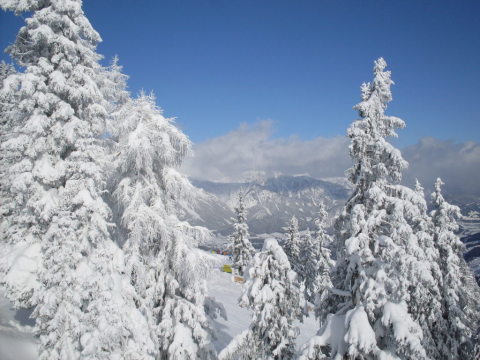 Schladming-2011-01-12-15-246.jpg