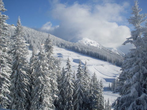 Schladming-2011-01-12-15-259.jpg