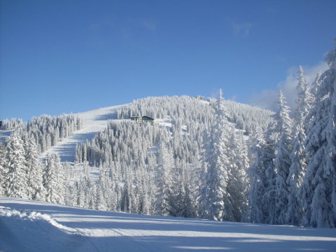 Schladming-2011-01-12-15-263.jpg