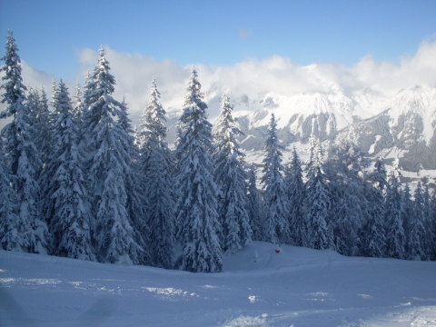 Schladming-2011-01-12-15-265.jpg