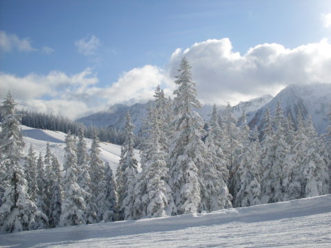 Schladming-2011-01-12-15-267.jpg