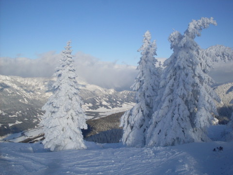 Schladming-2011-01-12-15-279.jpg