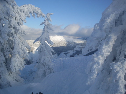 Schladming-2011-01-12-15-281.jpg