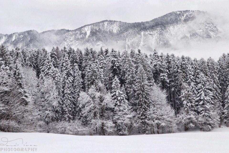 Schwoich,Tirol,Ausztria Tél az ablakból
