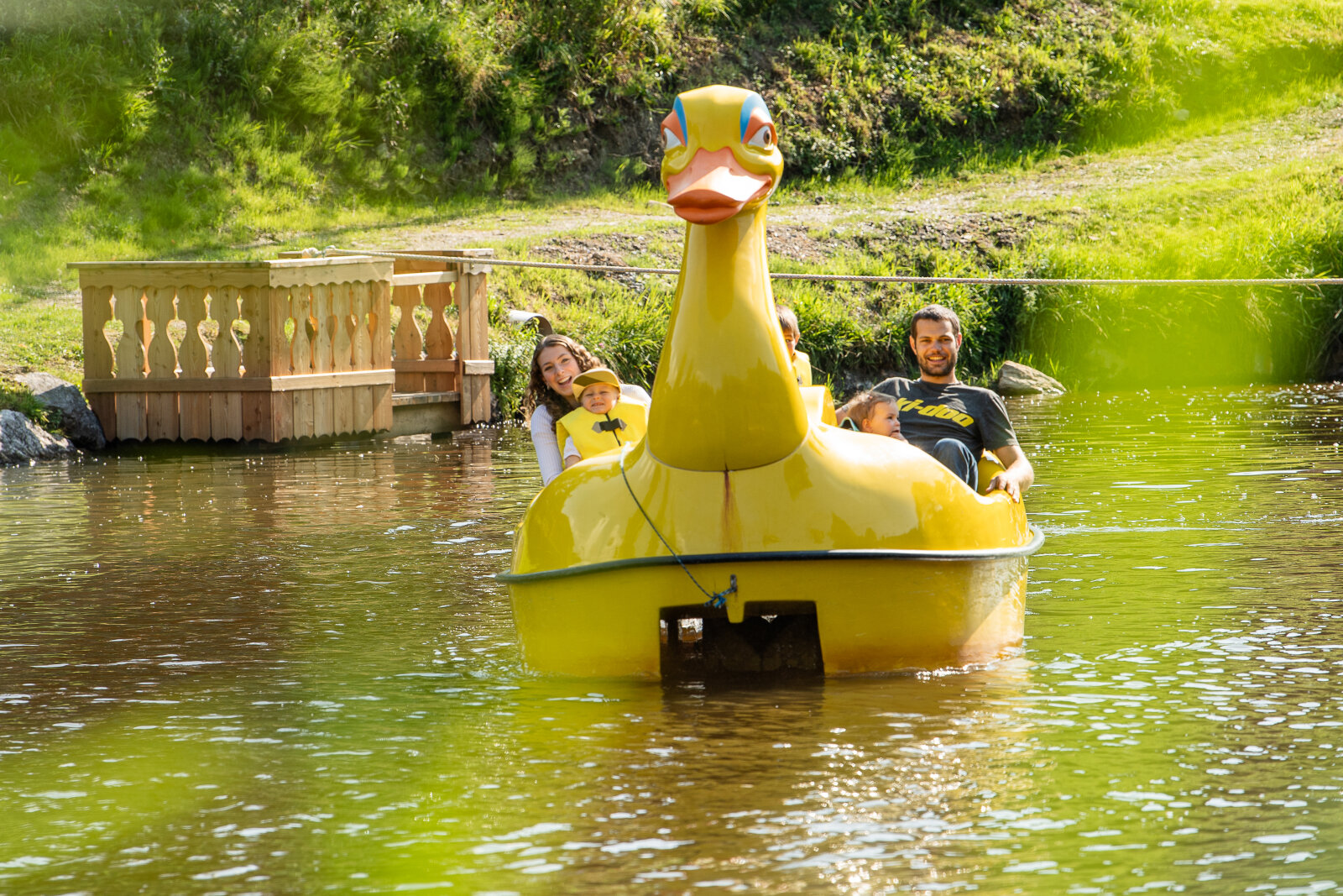 Teich-mit-Ente.JPG