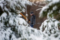 Elkezdődött a 2016/2017-es síszezon a Síparkban Elkezdődött a 2016/2017-es síszezon a Síparkban