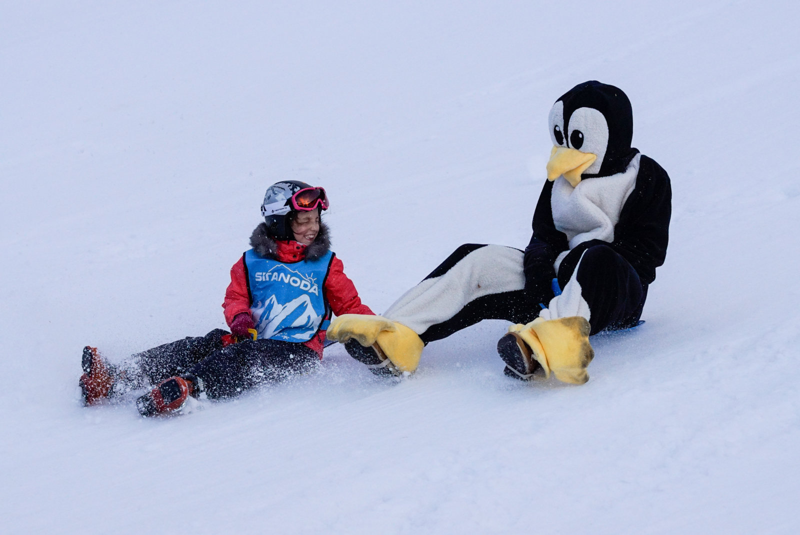 A Sítanoda pingvin a csúszka parti állandó szereplője