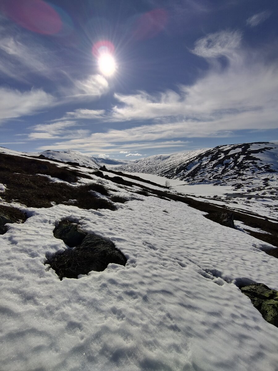 IMG-20250511-174347-HDR.jpg