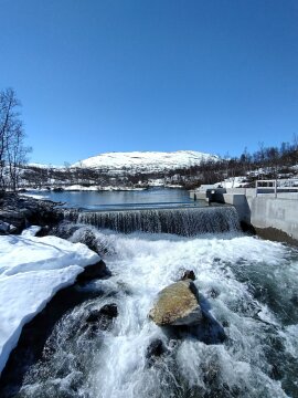 IMG-20250511-131132-HDR.jpg