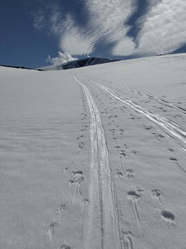 IMG-20250511-155207-HDR.jpg