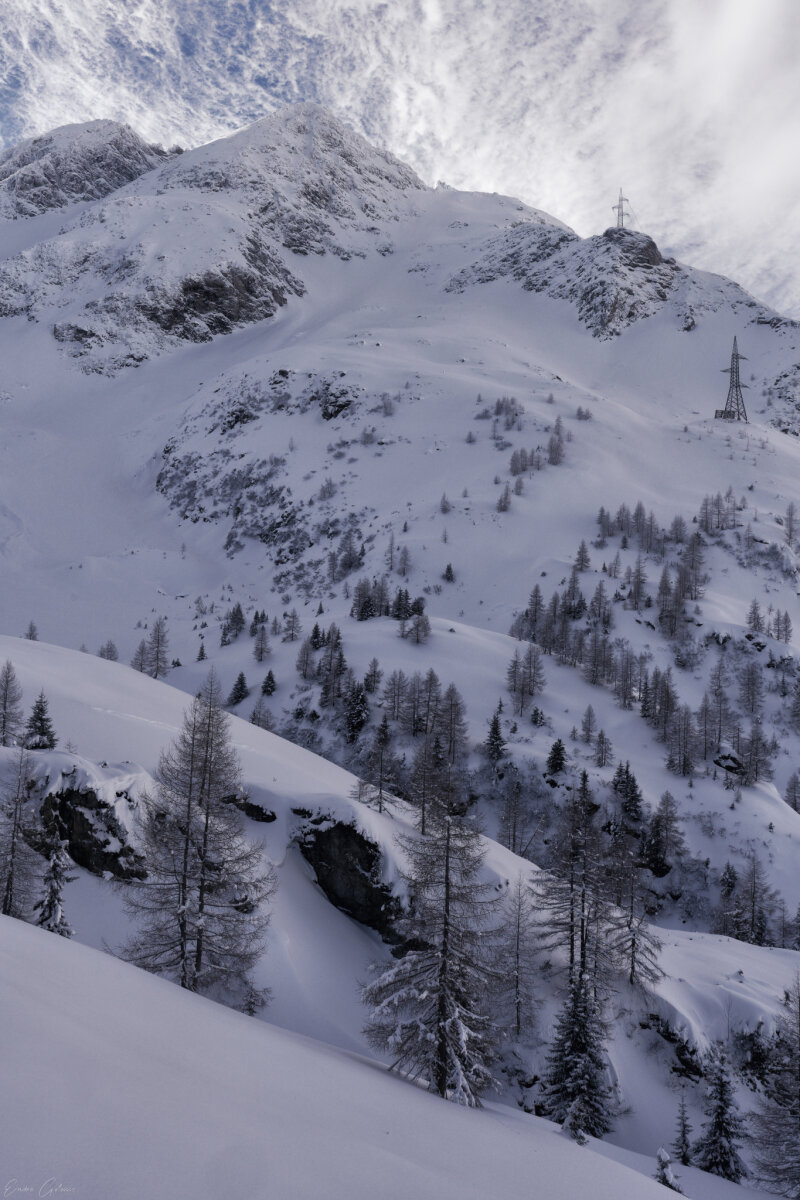 Salesen-Kogel és Radhausberg