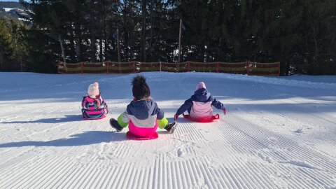 Kinder-rodeln-Familienschiberg-St.-Jakob-im-Walde-0222.jpg
