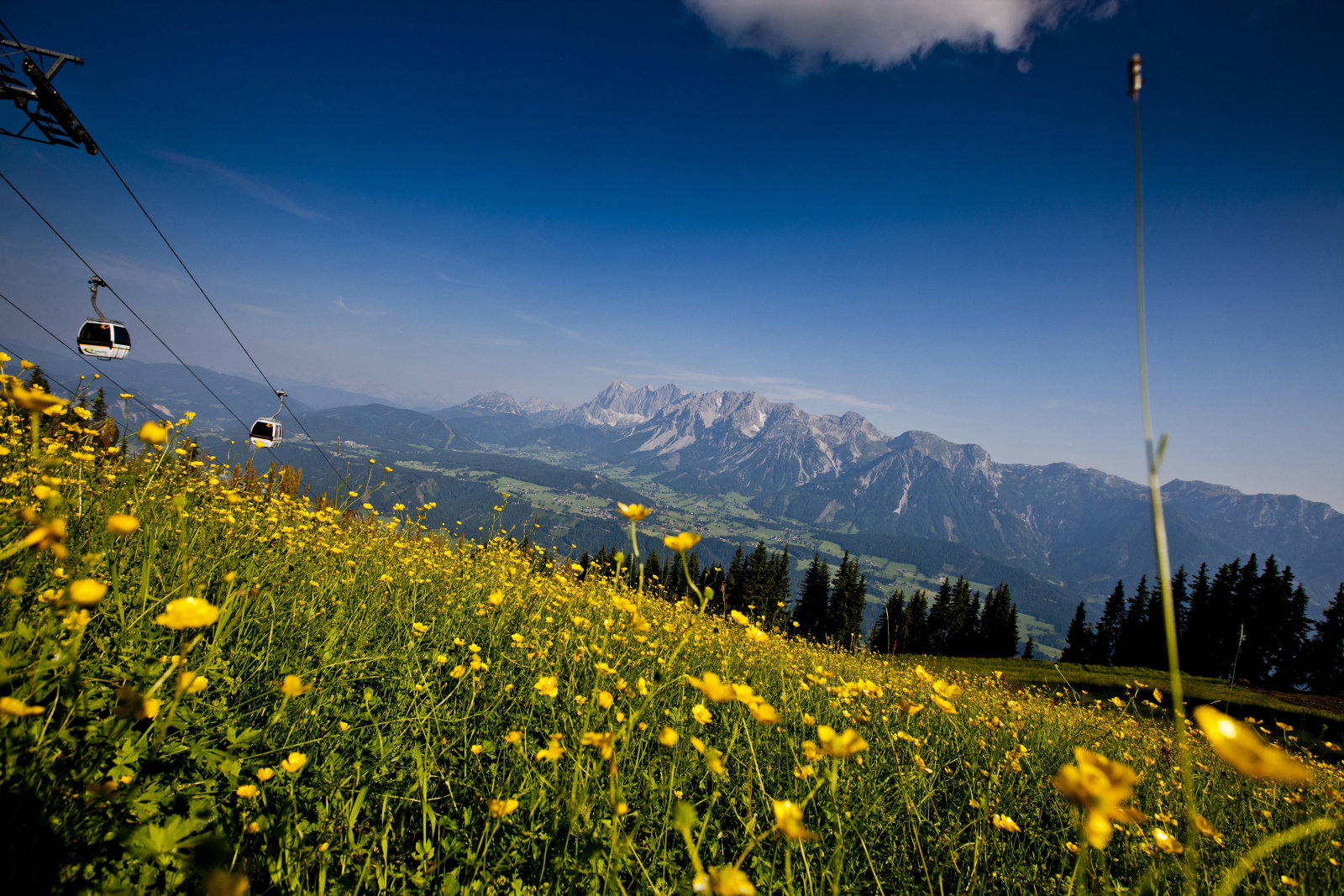 Kilátás a Dachstein gleccserre | © Steiermark Tourismus / ikarus.cc