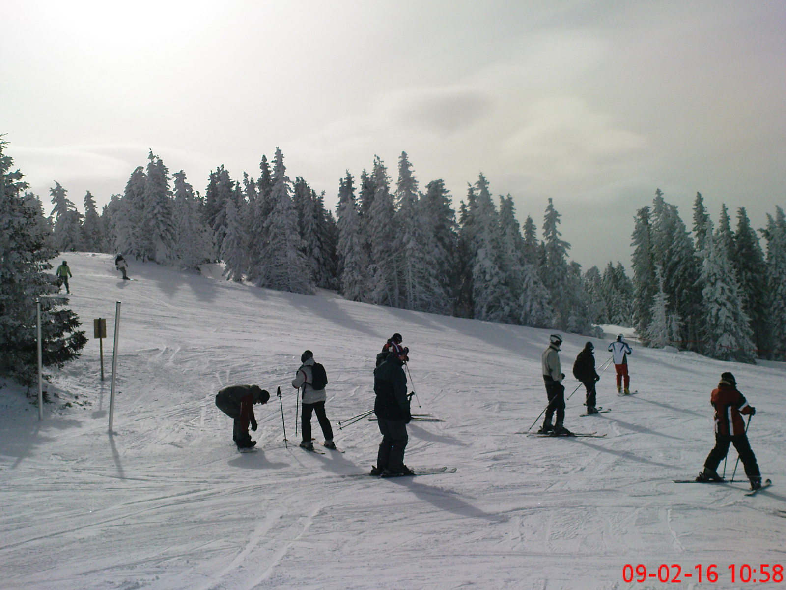 DSC00148.jpg