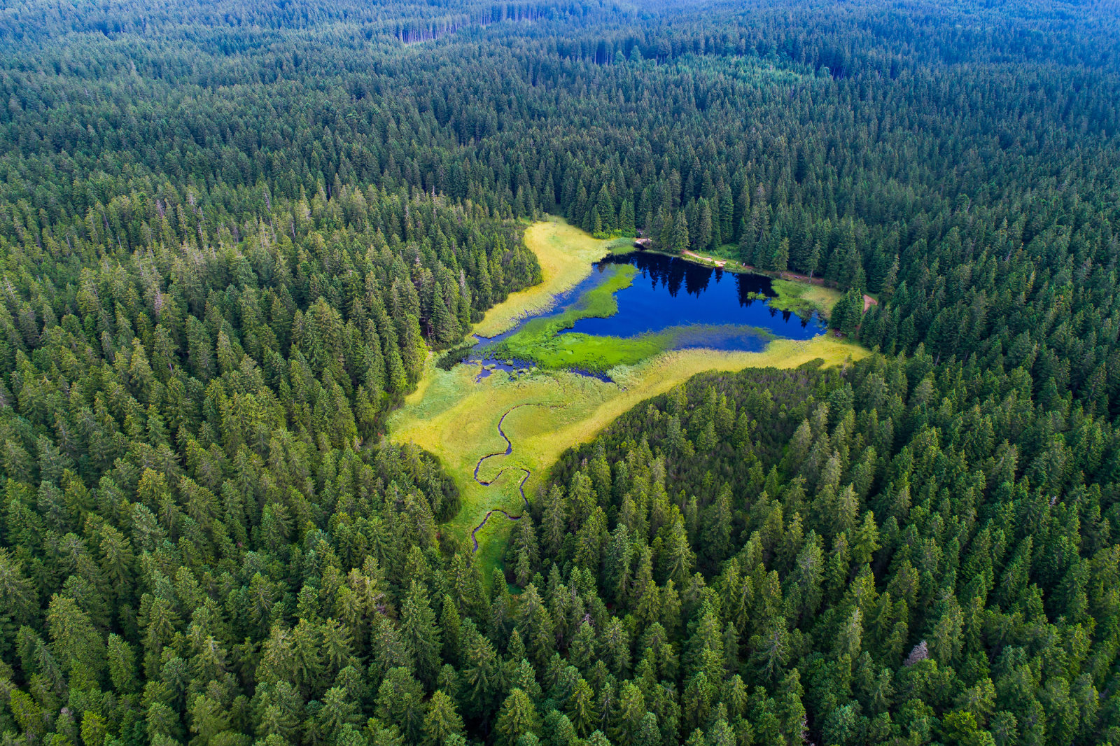 Črno jezero tó, Pohorje (Jošt Gantar)