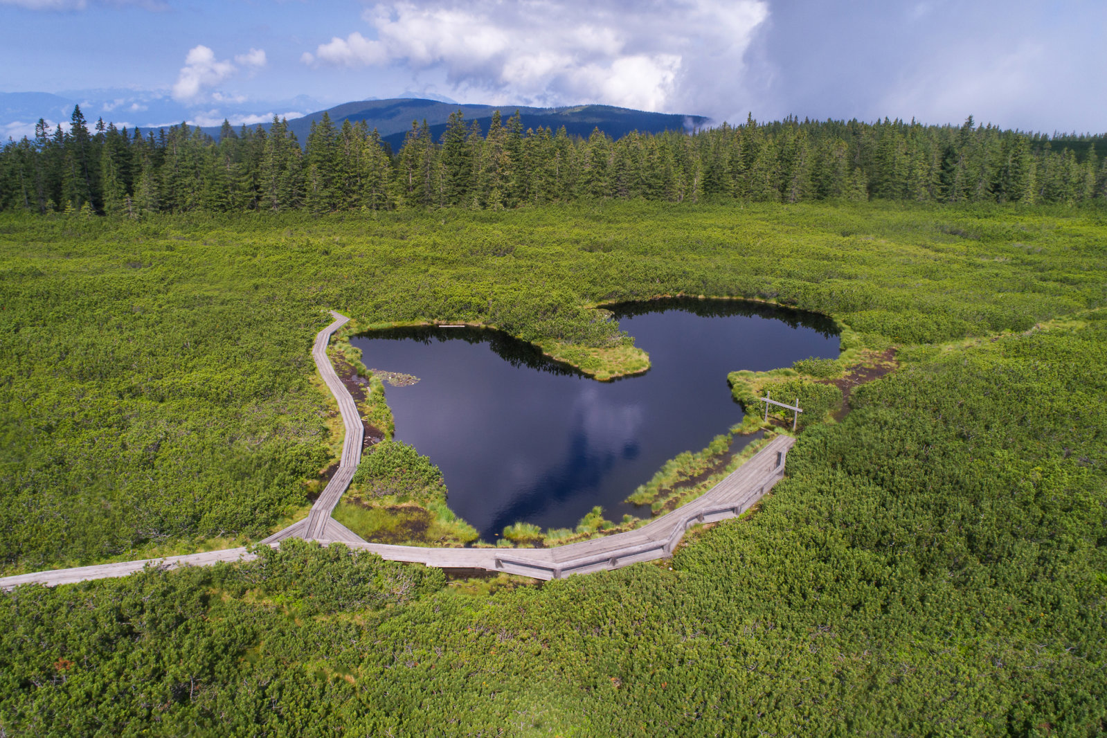 Lovrenška tavak, Rogla, szívalakú tó (Kép: Jošt Gantar)