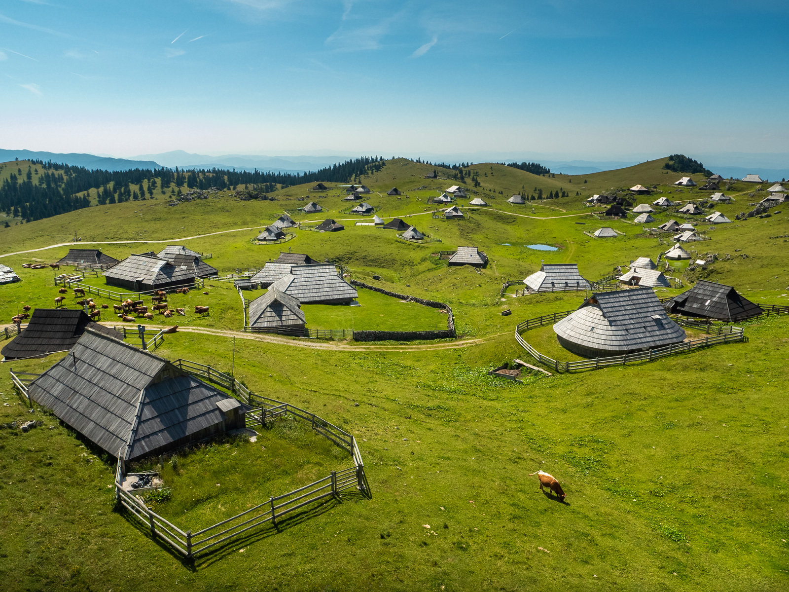 Velika Planina, legelő (Studio Production House, photo: Dražen Štader)