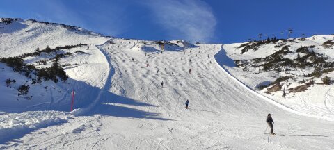 piros 23 felső harmada, balra sötétebb piros ága, jobbra kicsit lankásabb piros ág