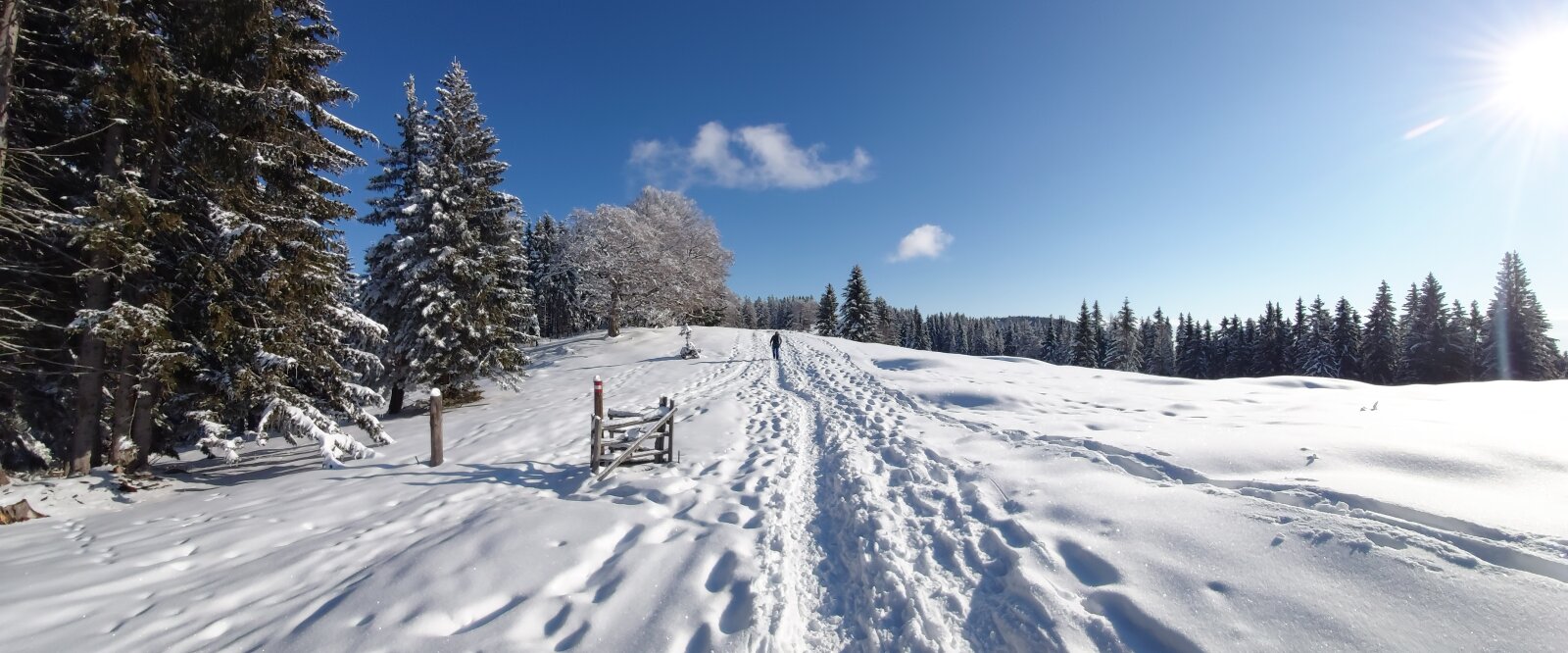 Almenland télen (Kép: Christine Pollhammer) 