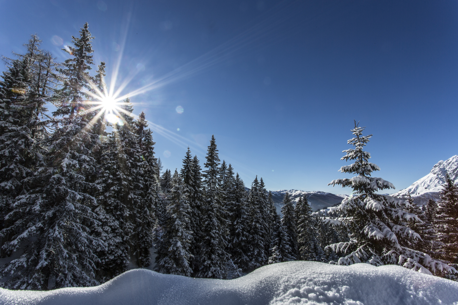 Salzburgerland13.jpg