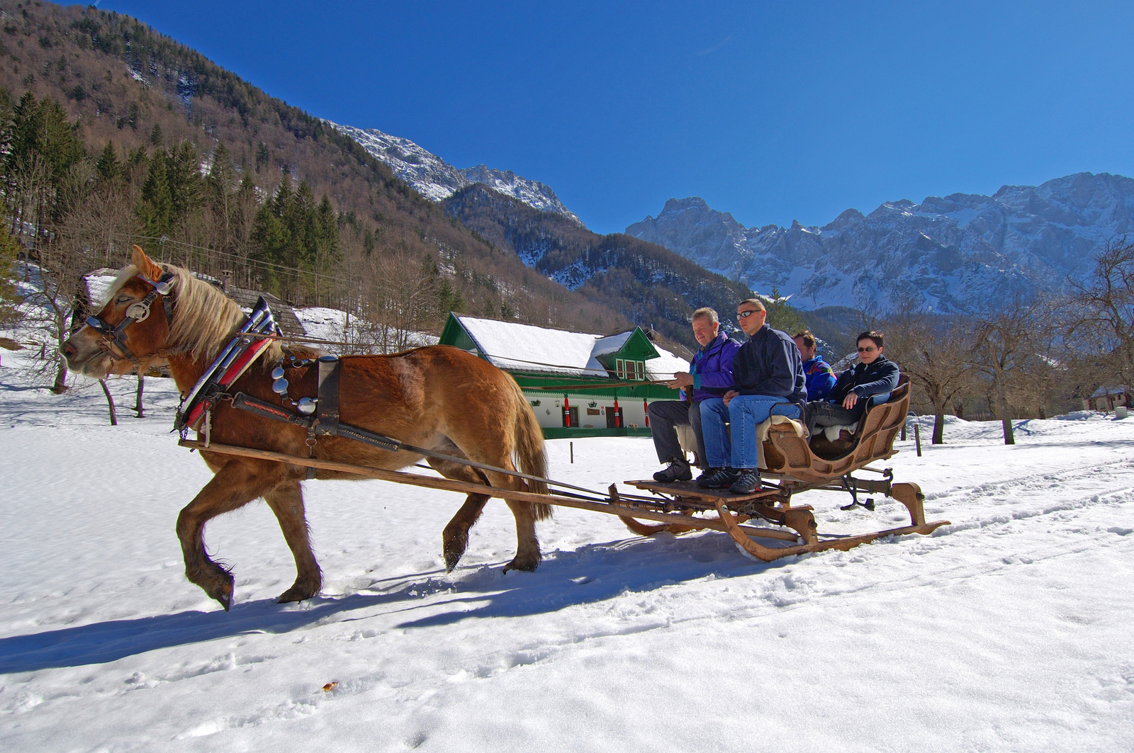 Lovasszán, Logarska Dolina | Fotó: Tomo Jesenicnik