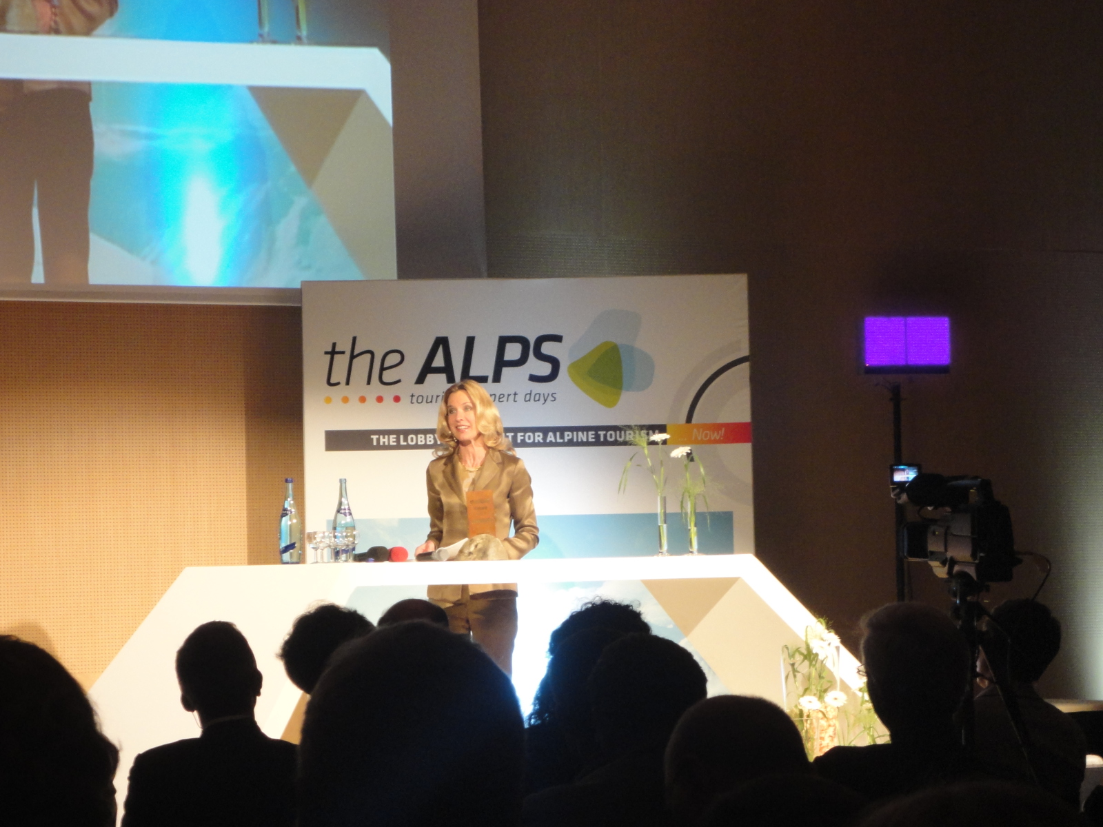 the-alps-innsbruck-2012-11.JPG