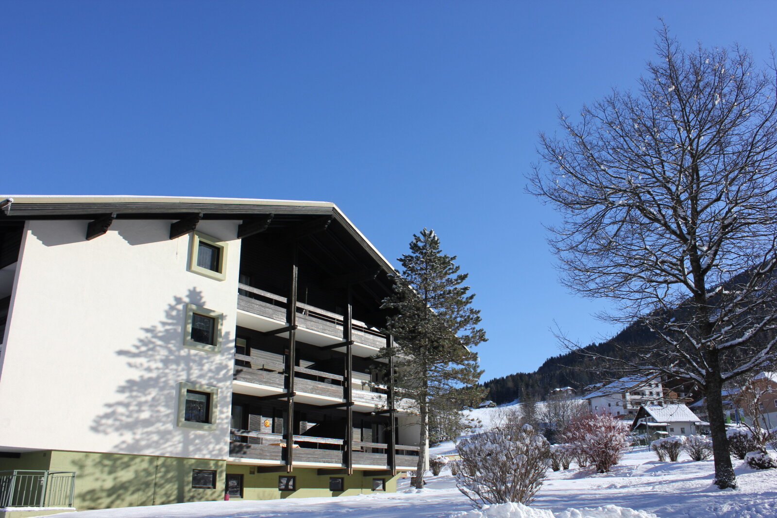 IMG-9298.JPG