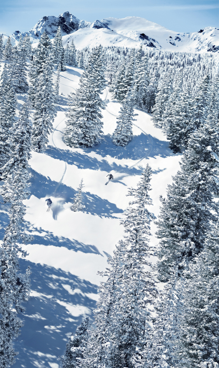 Tree skiing Beaver Creeken - Fotó: Vail Resorts Inc
