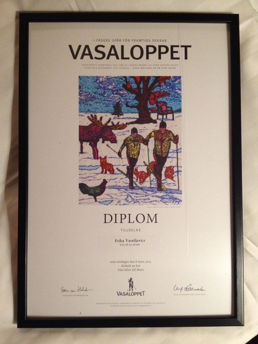 Vasaloppet Diploma 2015  - Vasziljevics Erika