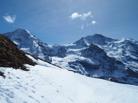 középen a Jungfraujoch