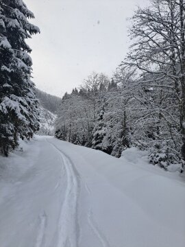 Erdészút a saalbachi völgy irányába