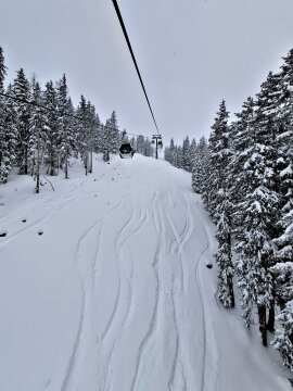 20241224-144719.jpg