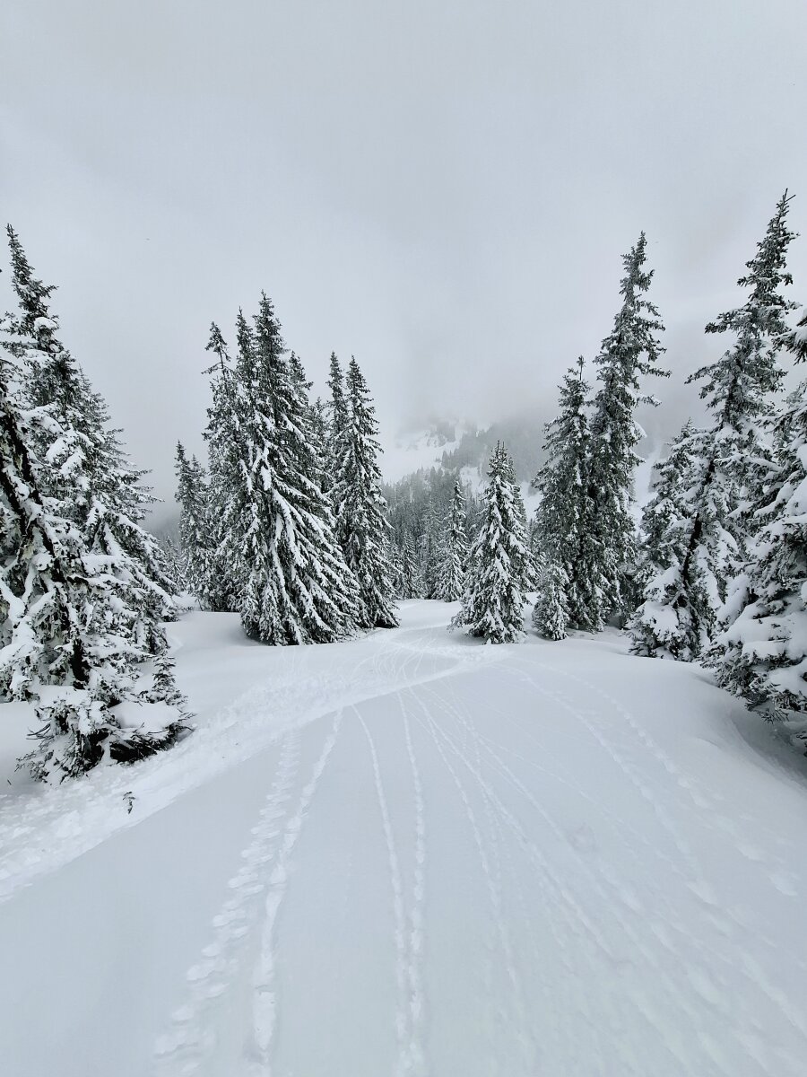 zellamsee-17.jpg