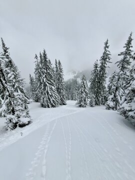 zellamsee-17.jpg