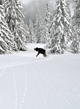 zellamsee-2.jpg