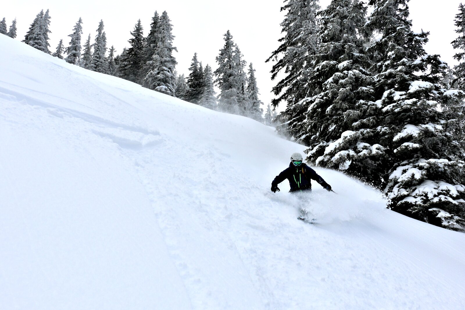 Beporoztuk a fenyvest