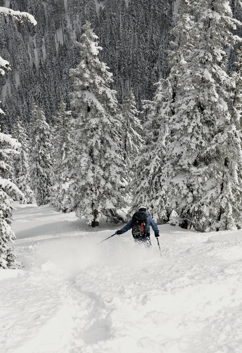 Az északi varázserdőben száll a porhó