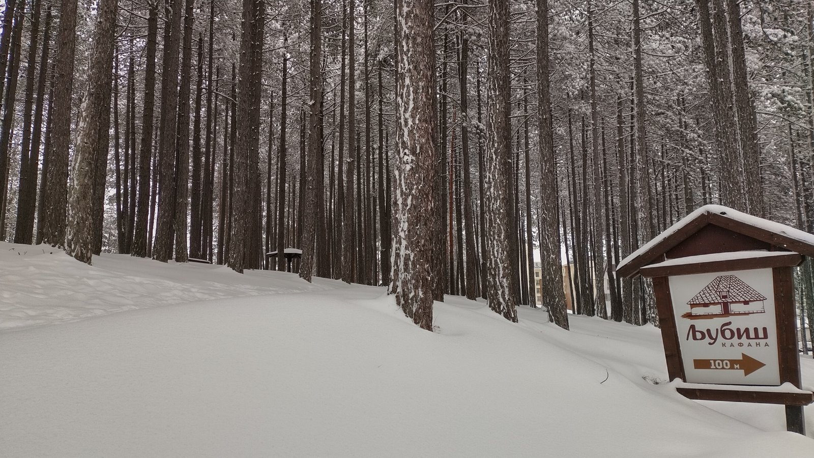 Zlatibor