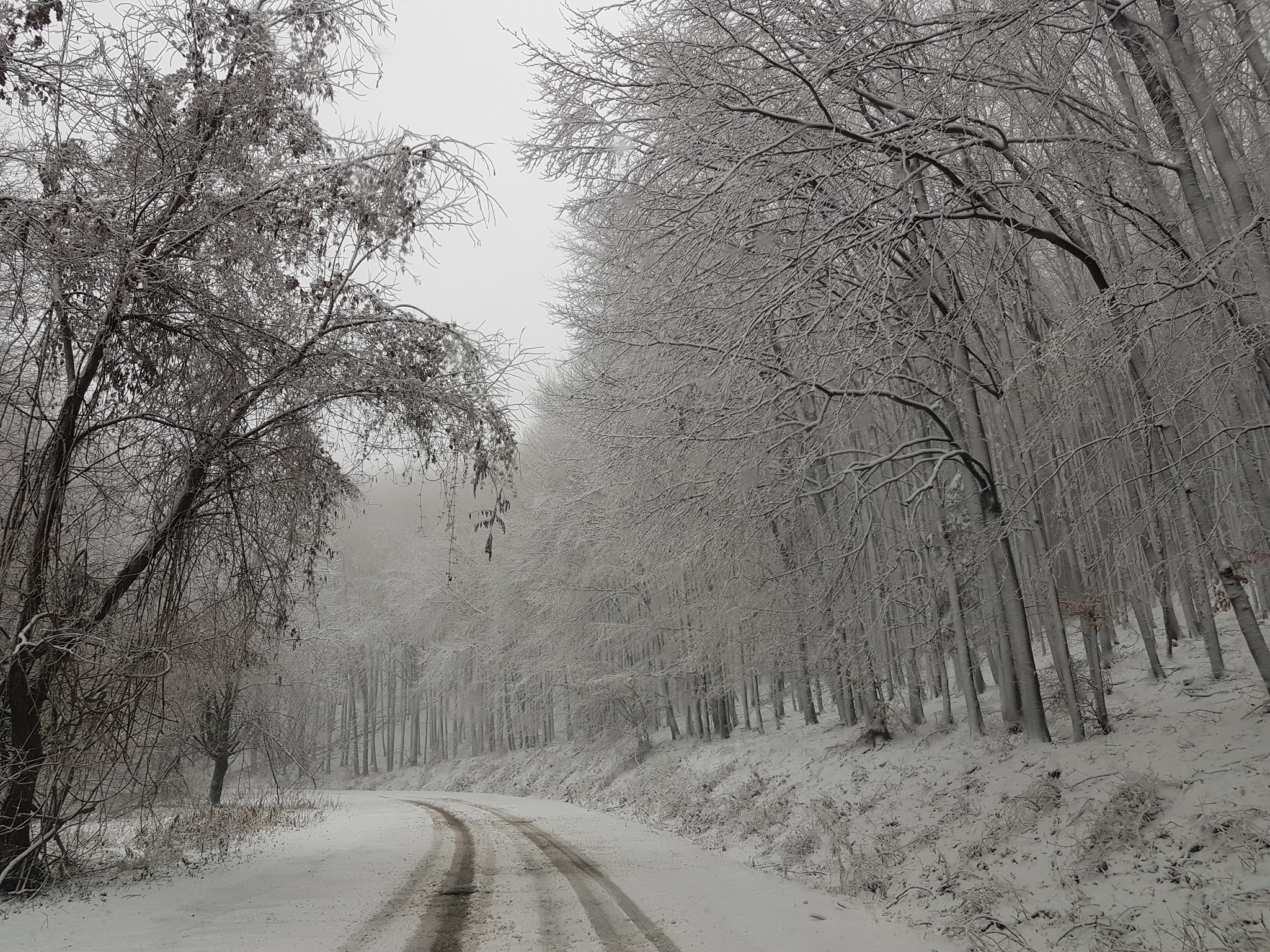 Havazott a Bükkben (Kép: Fehér Sas Panzió)