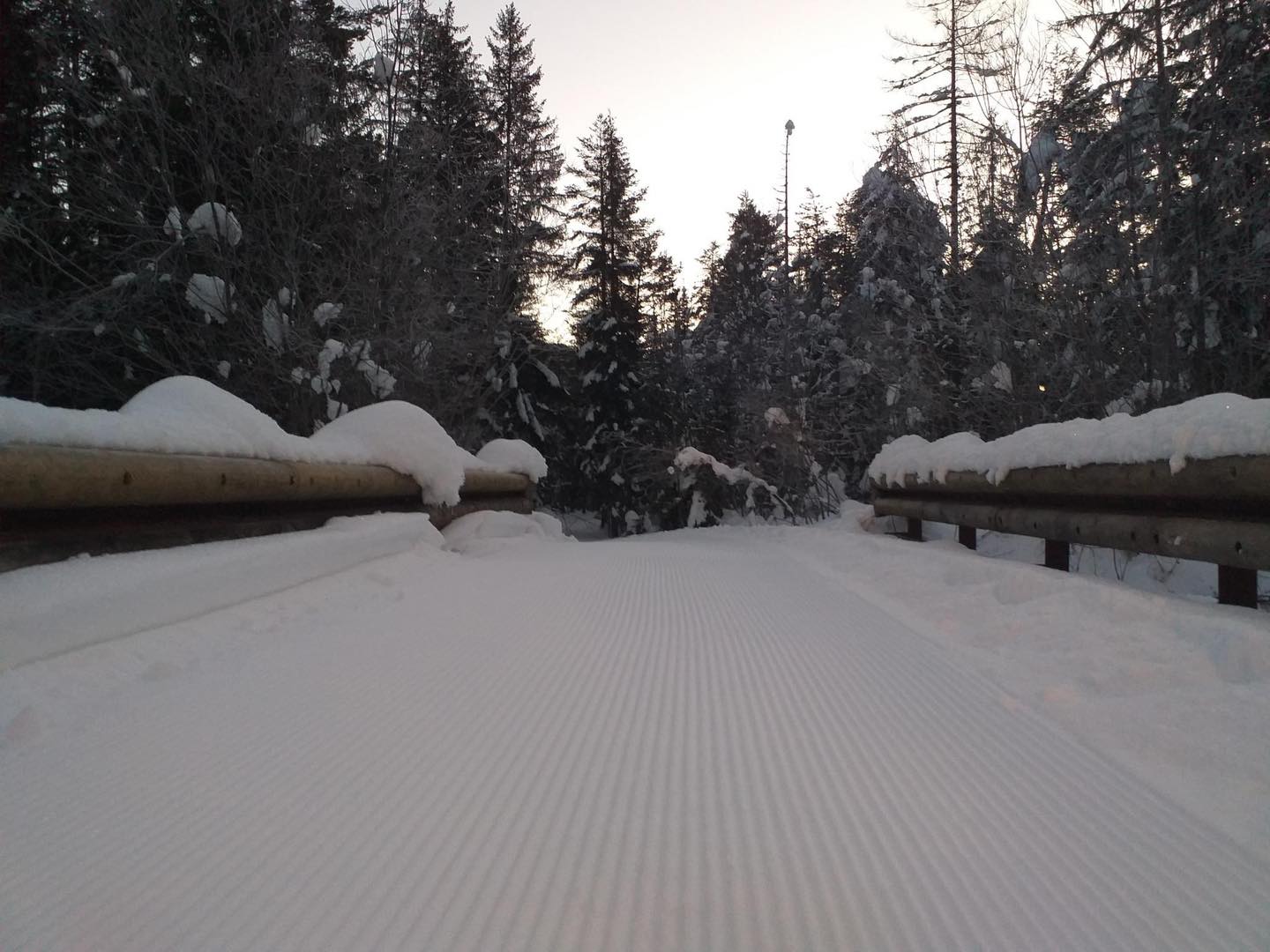 Kranjska Gora, 10 cm friss hó