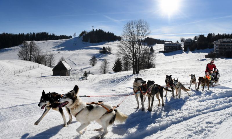 A husky szánozás is népszerű program Donovalyn