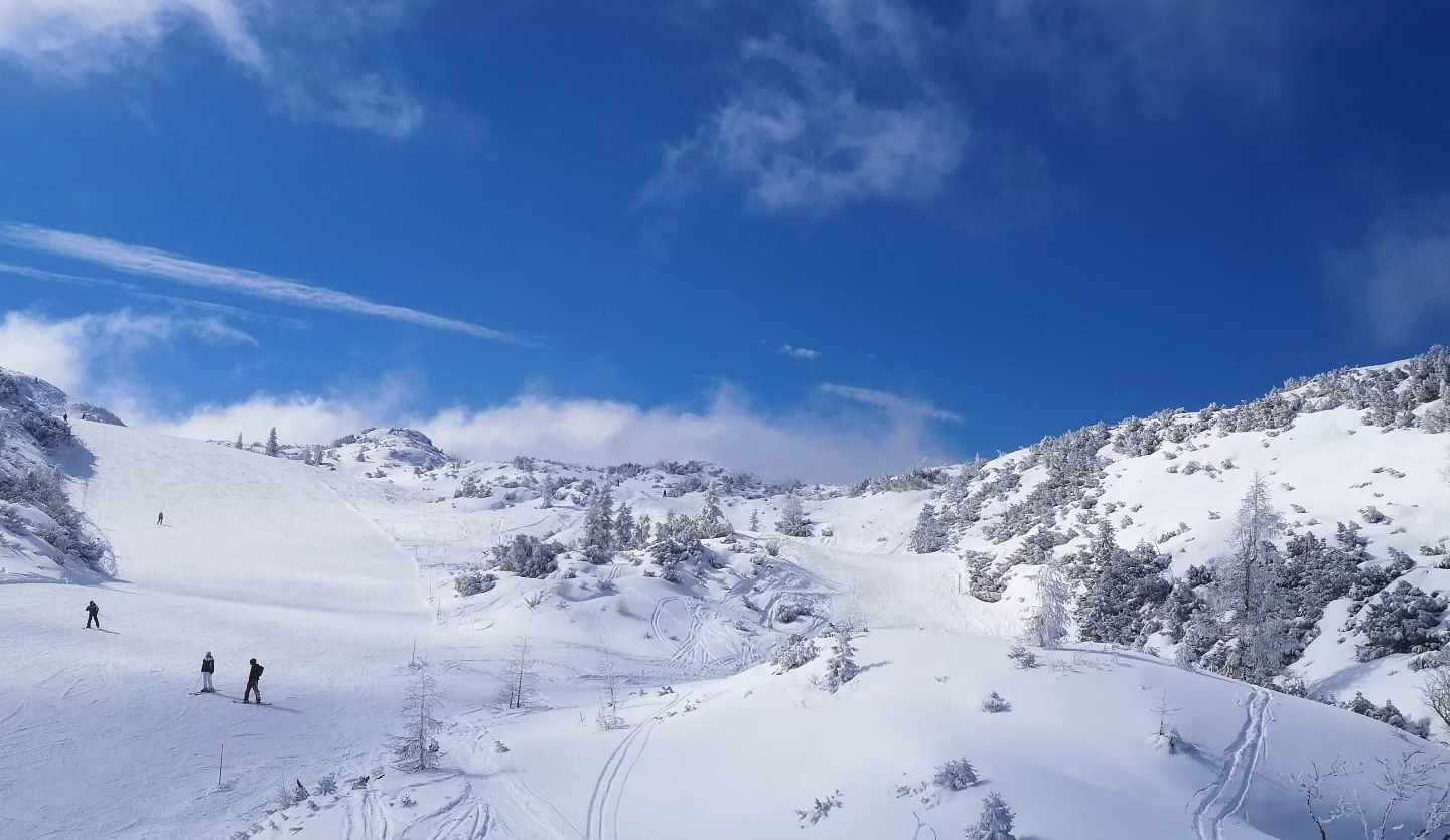 Vogel március 2-án / Kép: Vogel Ski Center