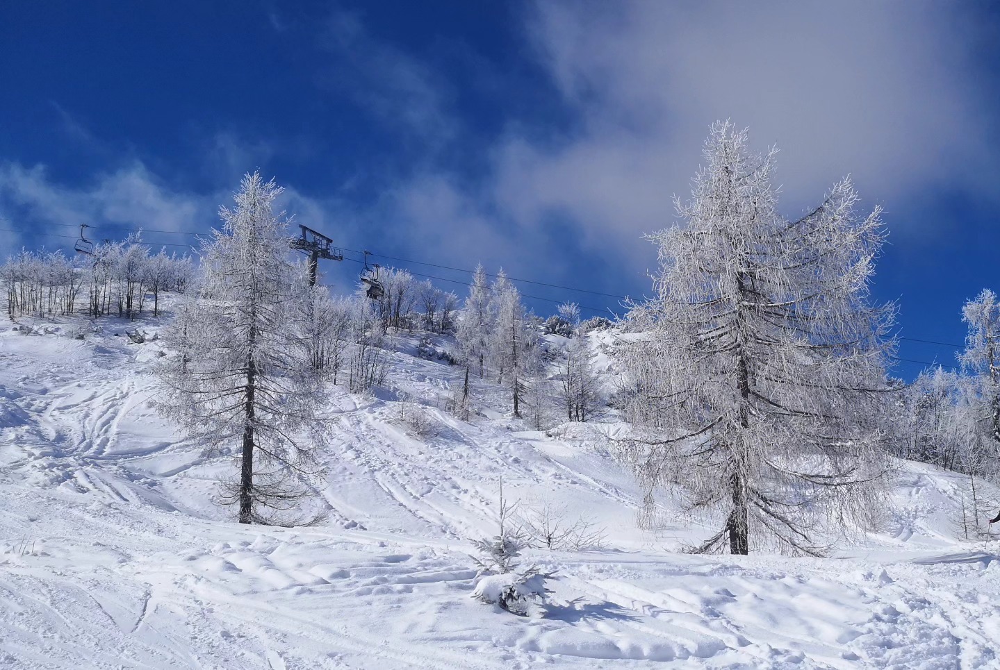 Vogel március 2-án / Kép: Vogel Ski Center