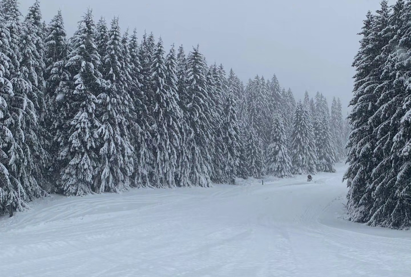 Így nézett ki a pálya két nappal ezelőtt, a havazás után / Kép: PARK SNOW Donovaly