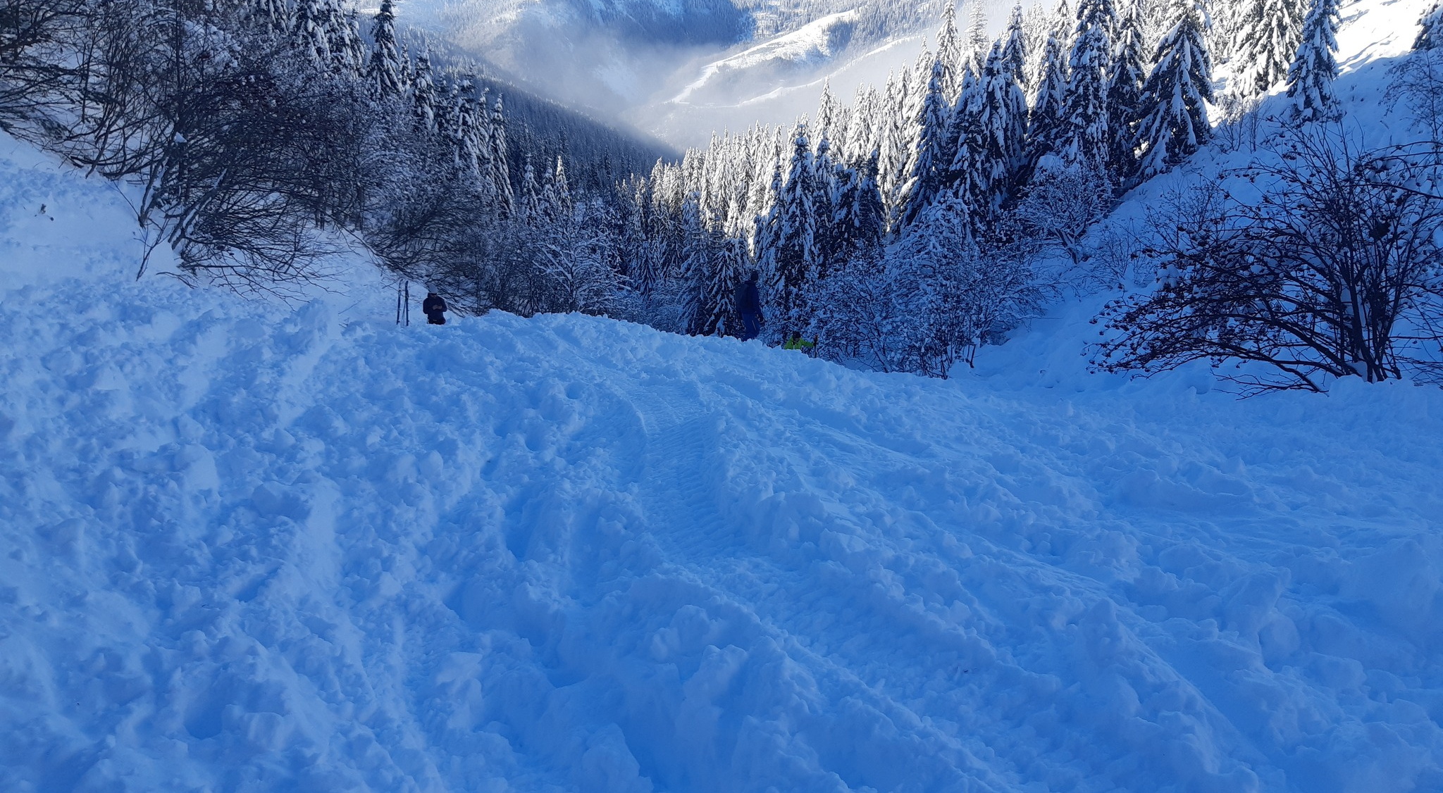 Kb. 80 cm hó az Alacsony-Tátrában / Kép: Chata M. R. Štefánika pod Ďumbierom