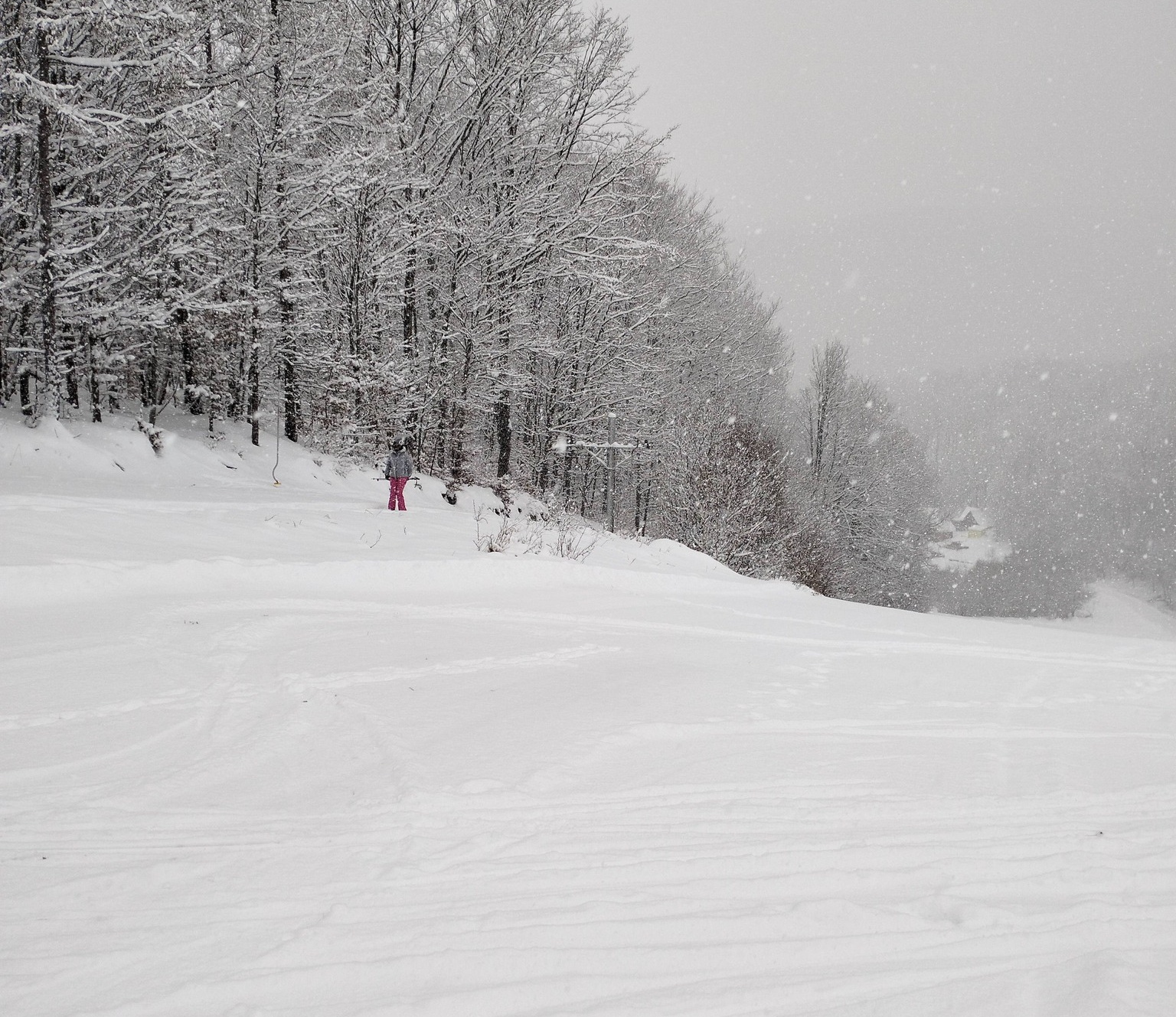Mezőlaborc, egy síelő a pályán / Kép: Alexander Bober / Facebook