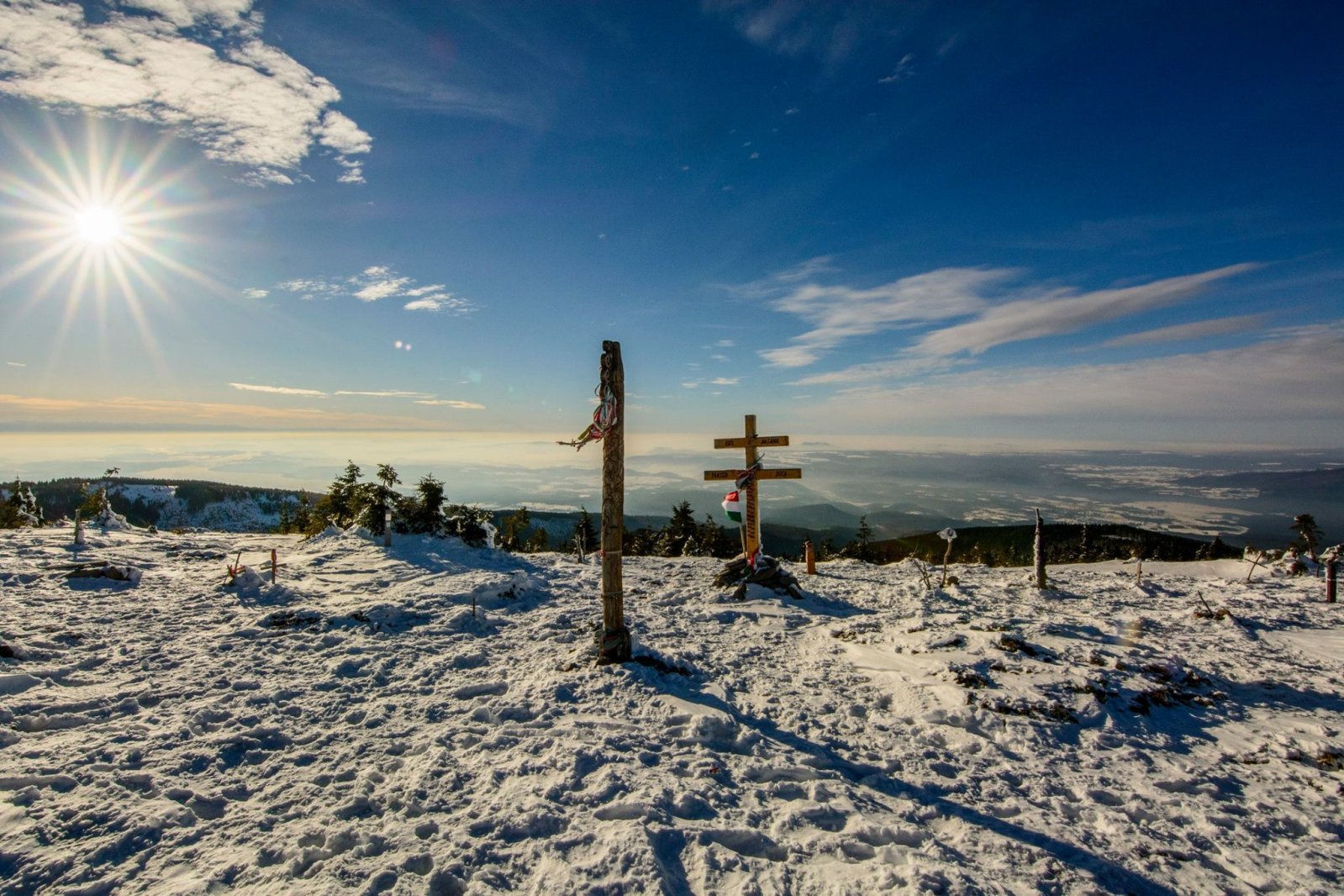 Kopjafák a Hargita tetején I Fotó: biren04