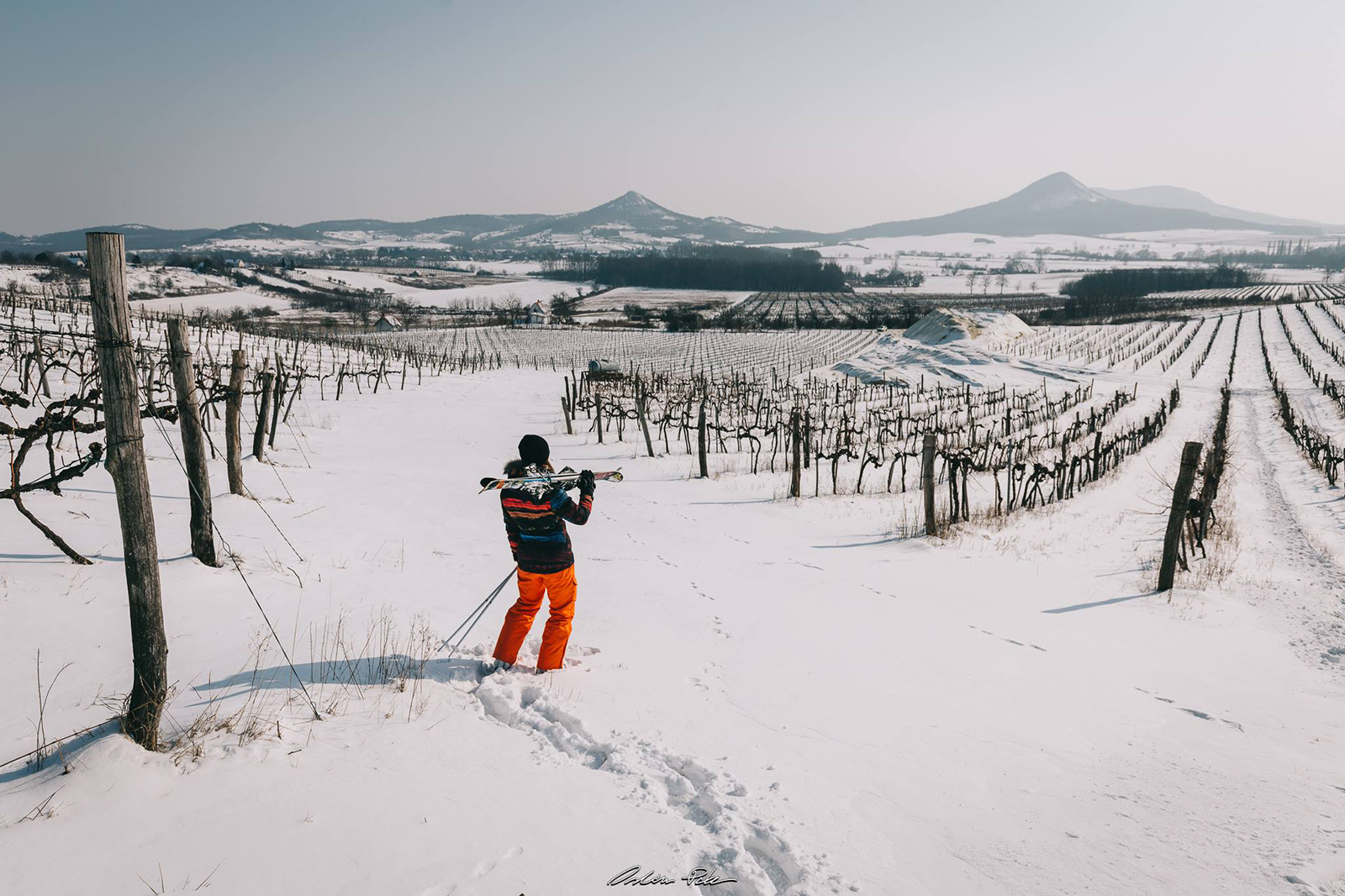 Síelés a havas Badacsonyon | Fotó: Orbán Péter
