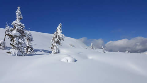 Nincs hiány hóban Vogelen sem - Fotó: Facebook