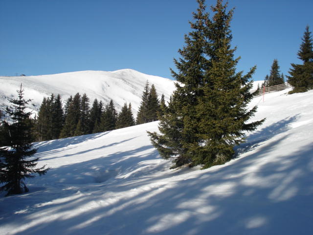 lachtal-2008-tel-055.jpg